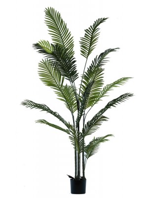 Pianta artificiale Palma con vaso h190 cm da Interno