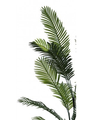 Pianta artificiale Palma con vaso h190 cm da Interno