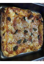 Photo from customer for Forno per Pizza a Gas in Acciaio Inox Doppio Bruciatore Speedy500 Pietra 500 Gradi Forno da Esterno Portatile